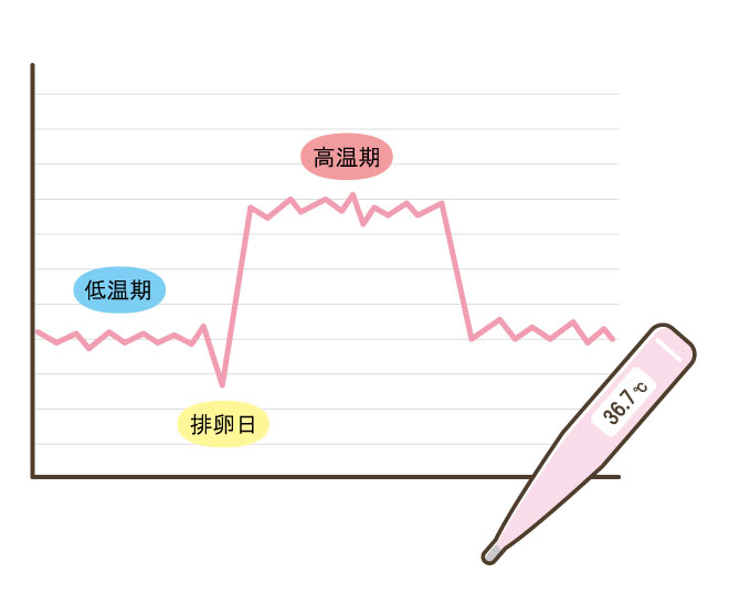 基礎体温